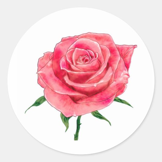 Sticker Rond Rose rose rose (Devant)