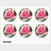 Sticker Rond Rose rose rose (Feuille)