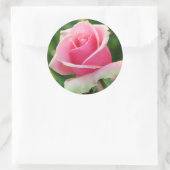 Sticker Rond Rose rose rose (Sac)