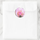 Sticker Rond Rose rose rose anglaise parfaite (Sac)