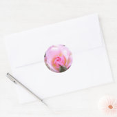 Sticker Rond Rose rose rose anglaise parfaite (Enveloppe)
