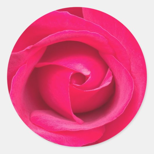Sticker Rond Rose rose rouge romantique (Devant)