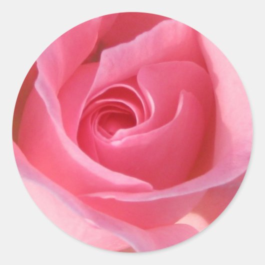 Sticker Rond Rose rose simple (Devant)
