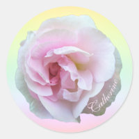 Rose rose sur Pastel Personnalisé