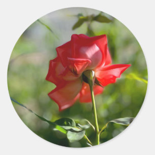 Sticker Rond Rose rouge