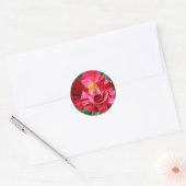 Sticker Rond Rose rouge (Enveloppe)