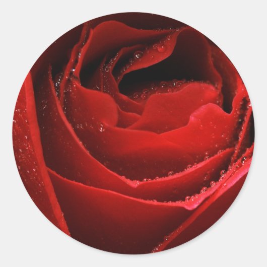 Sticker Rond Rose rouge (Devant)