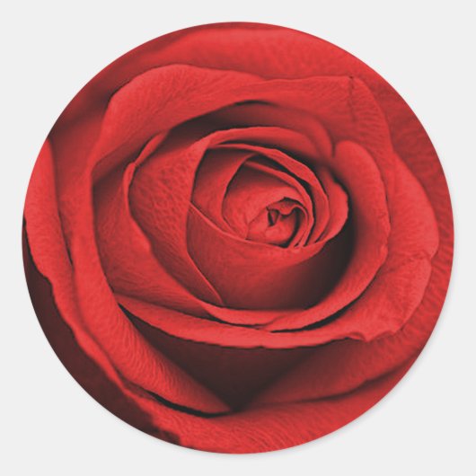 Sticker Rond Rose rouge blanc (toute couleur) Mariage rustique  (Devant)