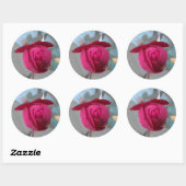 Sticker Rond Rose rouge romantique (Feuille)