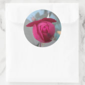 Sticker Rond Rose rouge romantique (Sac)