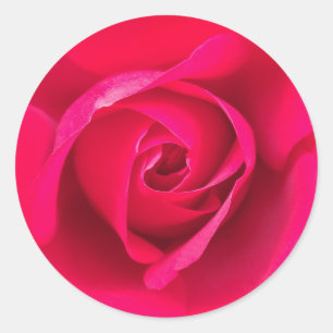 Sticker Rond Rose rouge romantique v2