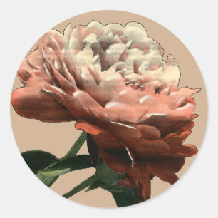 Sticker Rond Rose rouge rubis aux accents blancs
