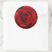 Sticker Rond Rose rouge stkcnm (Sac)