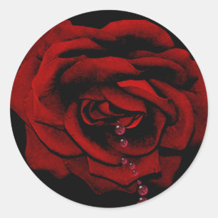 Sticker Rond Rose saignant