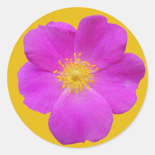 Sticker Rond Rose sauvage 2 (Devant)
