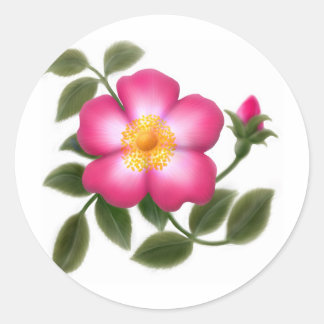 Sticker Rond Rose sauvage romantique