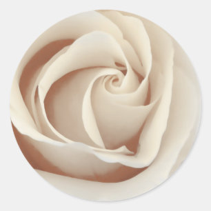 Sticker Rond Rose Sepia