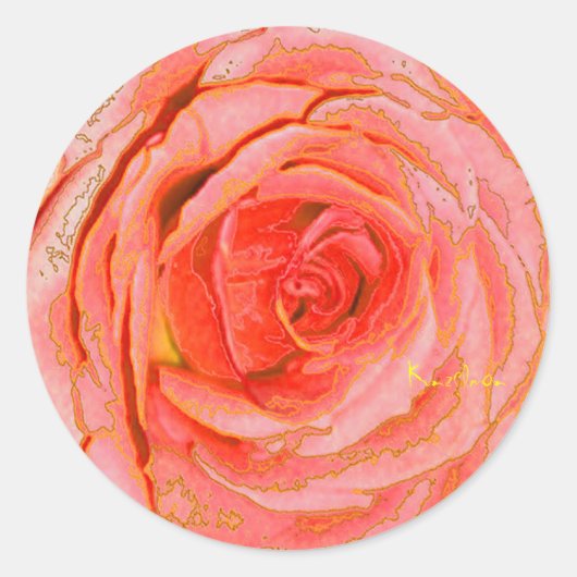 STICKER ROND "ROSE TANGERINE" (Devant)