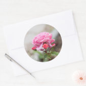 Sticker Rond rose trois bourgeons rouges (Enveloppe)
