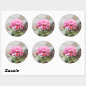Sticker Rond rose trois bourgeons rouges (Feuille)