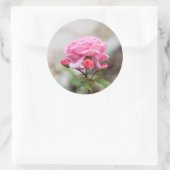 Sticker Rond rose trois bourgeons rouges (Sac)