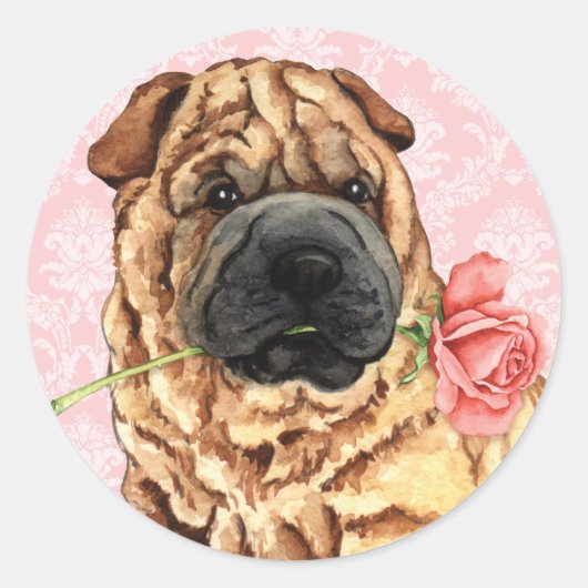 Sticker Rond Rose Valentin Shar-Pei (Devant)