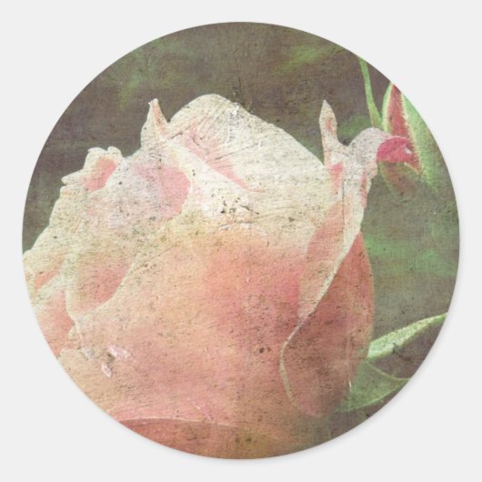Sticker Rond Rose vintage (Devant)
