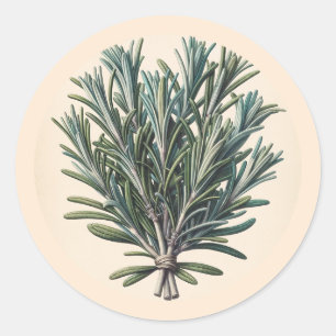 Sticker Rond Rosemary Bunch Vintage Botanical Apothecary Plant