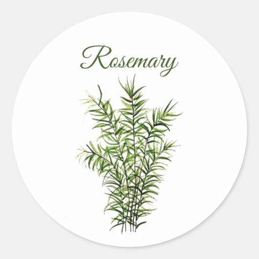 Sticker Rond Rosemary Herb Greenery Cuisine culinaire Vert chic (Devant)