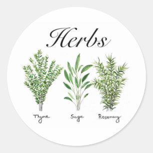 Sticker Rond Rosemary Herbes de Sage de thym Cuisine culinaire