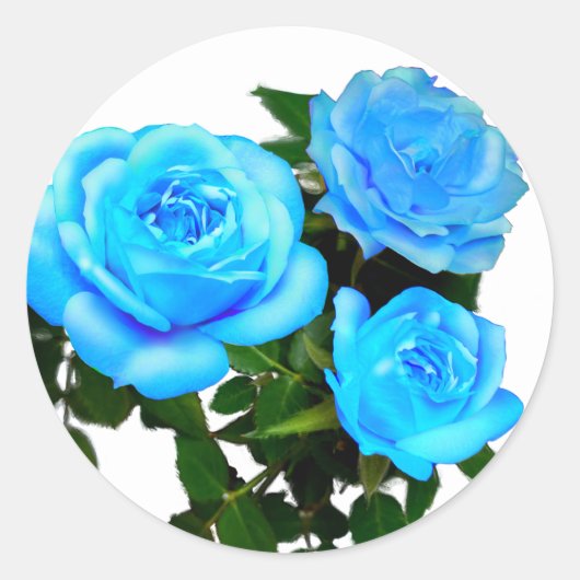Sticker Rond Roses bleues sarcelle élégantes fleurs florales bl (Devant)