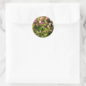 Sticker Rond Roses roses en fleur (Sac)