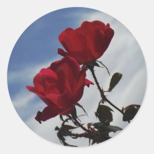 Sticker Rond Roses rouges contre un ciel bleu vif