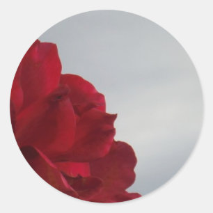 Sticker Rond Roses rouges contre un ciel bleu vif