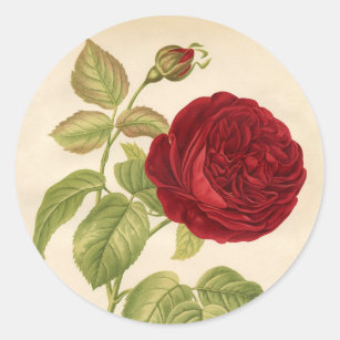 Sticker Rond Roses vintages