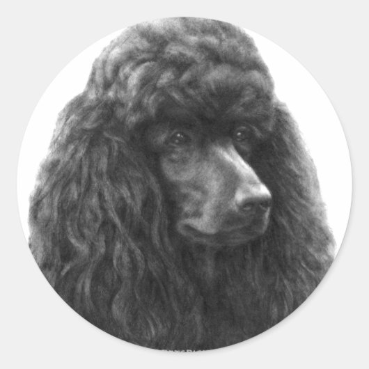 Sticker Rond Rosie, caniche standard (Devant)