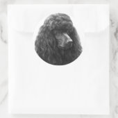 Sticker Rond Rosie, caniche standard (Sac)