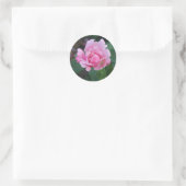 Sticker Rond Rosier rose (Sac)