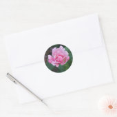 Sticker Rond Rosier rose (Enveloppe)