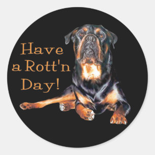 Sticker Rond Rottweiler A Un Jour Rotatif