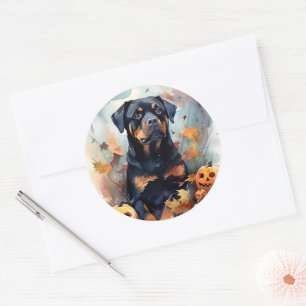Sticker Rond Rottweiler d'Halloween avec citrouilles effrayant