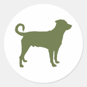 Sticker Rond Rottweiler (Queue non ancrée)