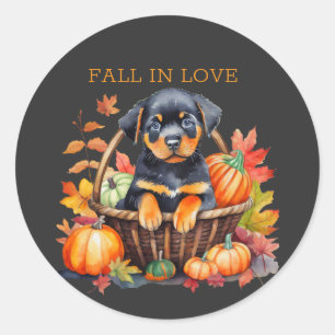 Sticker Rond Rottweiler tombe amoureux