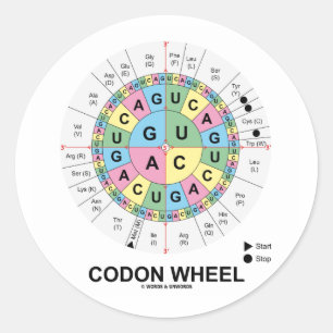 Sticker Rond Roue Codon (ARN Codons Amino Acids)