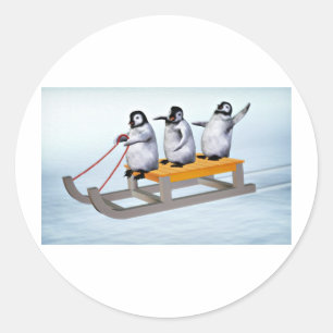 Sticker Rond Roue de pingouins