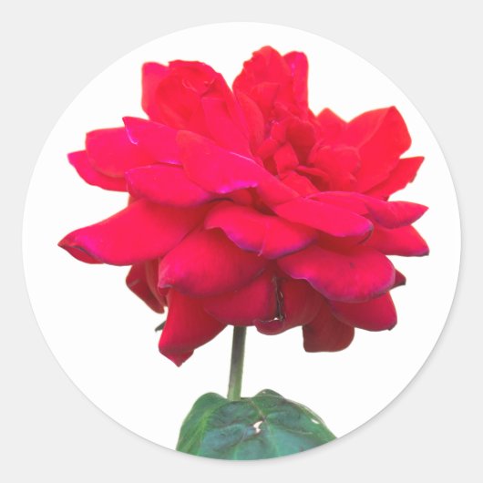 Sticker Rond Rouge (Devant)