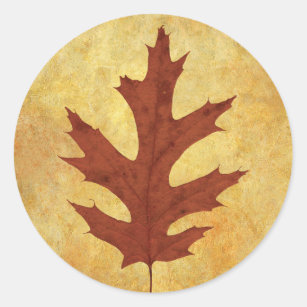 Sticker Rond Rouge de feuilles de chêne d'automne