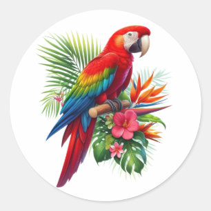 Sticker Rond Rouge macaw tropical floral