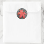 Sticker Rond Rouges Automne Rustique Rouges Maple Leaf Envelopp (Sac)