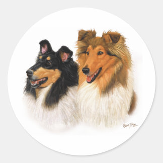 Sticker Rond Rough Collie